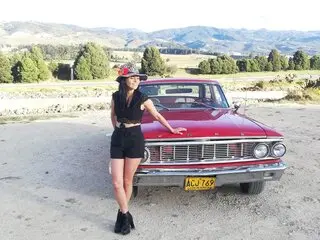 RogueVilla videos
